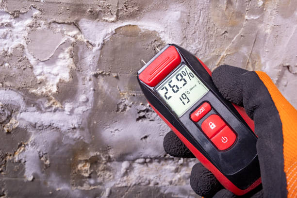 Best Mold Testing  in Warrensburg, IL