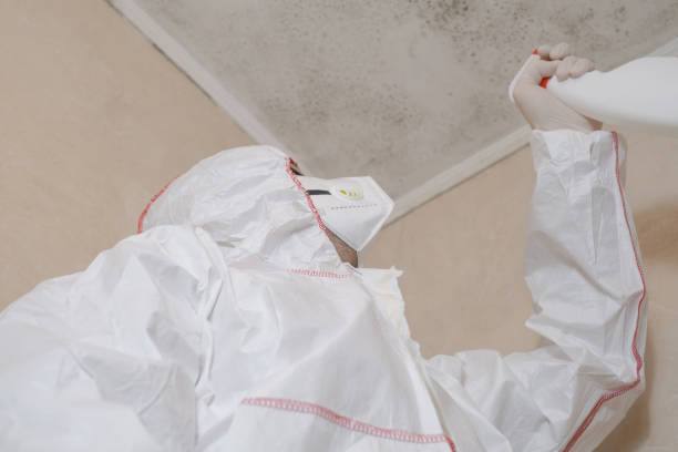 Best Mold Cleaning Services  in Warrensburg, IL